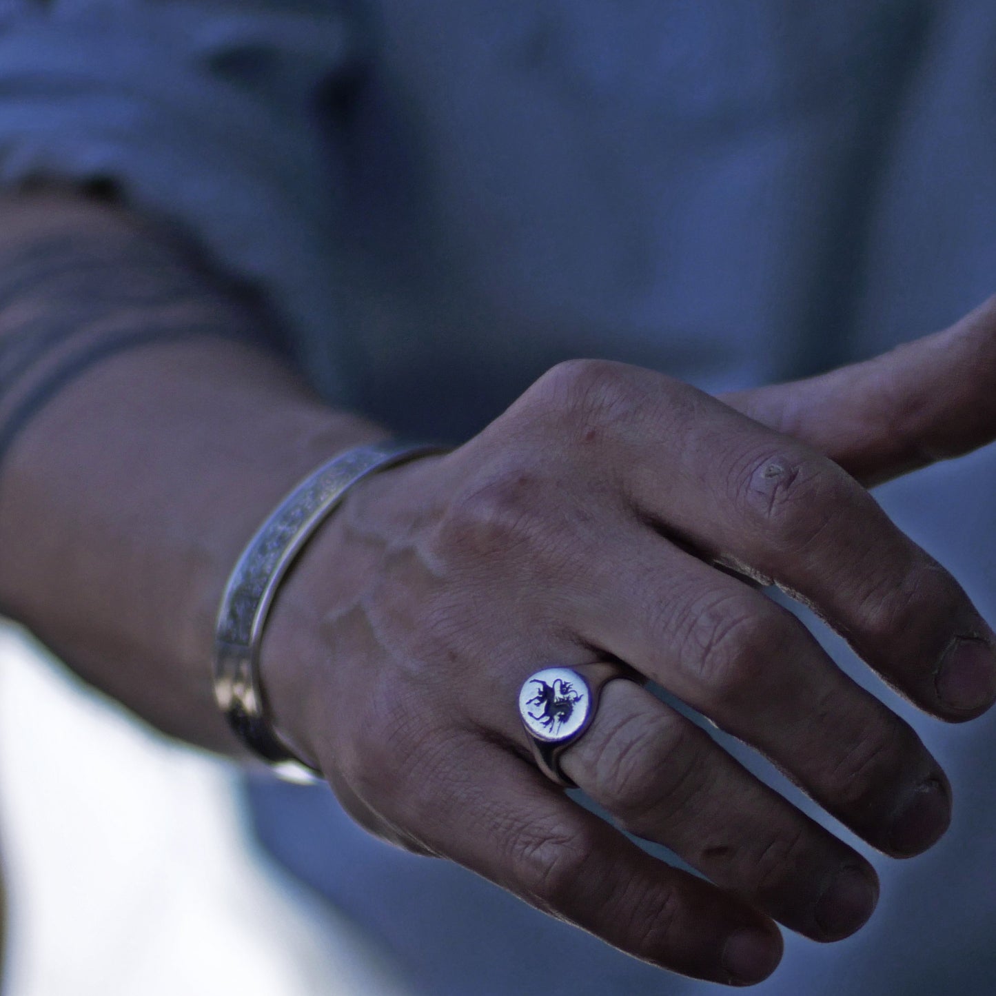 Wachssiegelring, Vintage-Ring, rustikaler Ring, geschnitzter Ring, männlicher Ring, Männerring, Wappenring, Siegelring, Löwenwappen, Charm-Ring, Chevalier